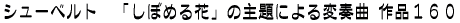 N[E tƃh 
